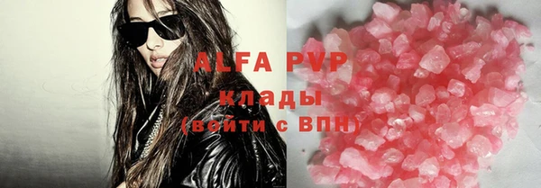 ПСИЛОЦИБИНОВЫЕ ГРИБЫ Богданович