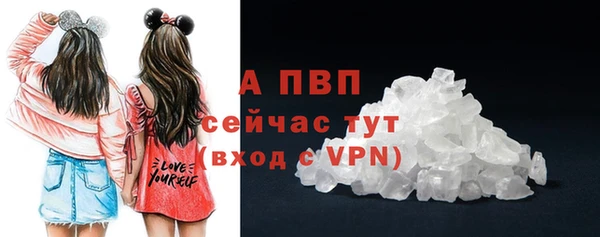ПСИЛОЦИБИНОВЫЕ ГРИБЫ Богданович