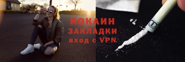 шишки Богородицк