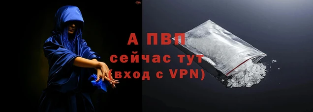 шишки Богородицк