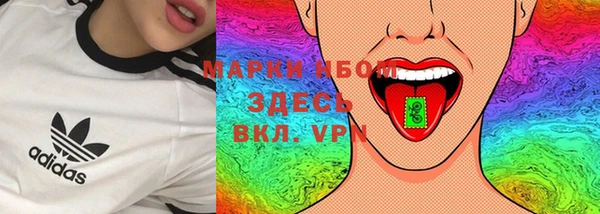 ПСИЛОЦИБИНОВЫЕ ГРИБЫ Богданович