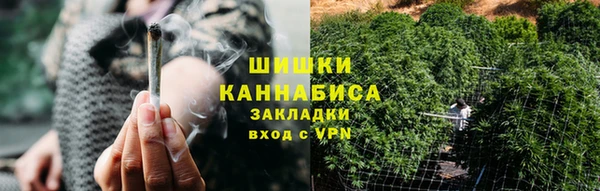 шишки Богородицк
