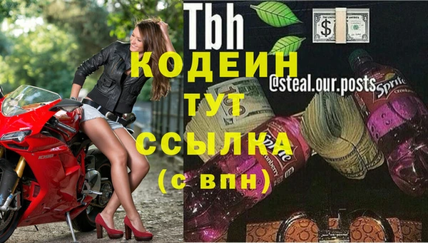шишки Богородицк