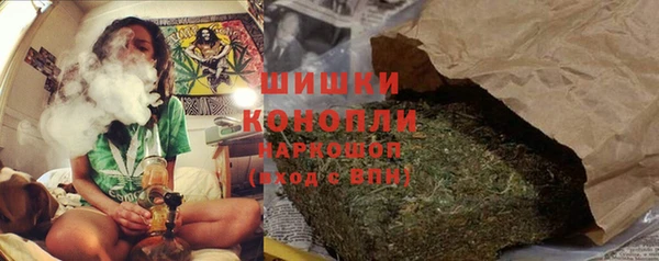 ПСИЛОЦИБИНОВЫЕ ГРИБЫ Богданович