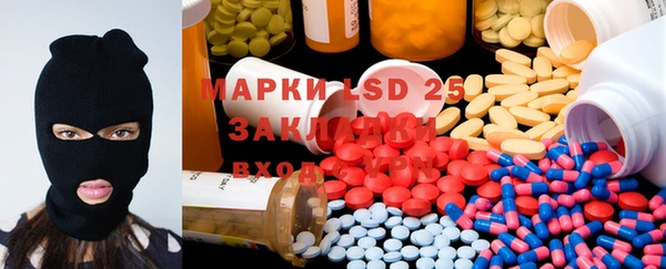 ПСИЛОЦИБИНОВЫЕ ГРИБЫ Богданович