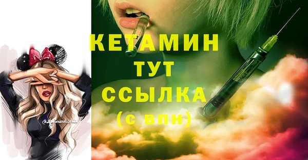 ПСИЛОЦИБИНОВЫЕ ГРИБЫ Богданович