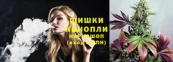 ПСИЛОЦИБИНОВЫЕ ГРИБЫ Богданович
